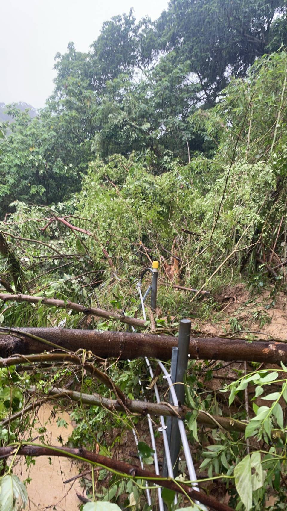 今日受強風暴雨影響，導致鐵路邊坡上的路樹倒塌觸發「天然災害告警系統」的邊坡滑動偵測。 圖：台灣高鐵／提供