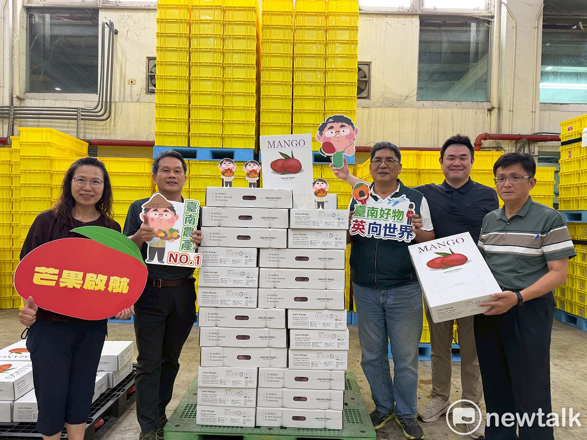 台南芒果盛產季到來，台南市政府持續拓展海外市場，今年繼率團參加英國國際食品飲料展（IFE）成功打響台南水果知名度後，再傳拓銷捷報，首批台南愛文芒果正式空運出口英國，透過完善冷鏈物流送達英國市場。 圖：台南市政府提供