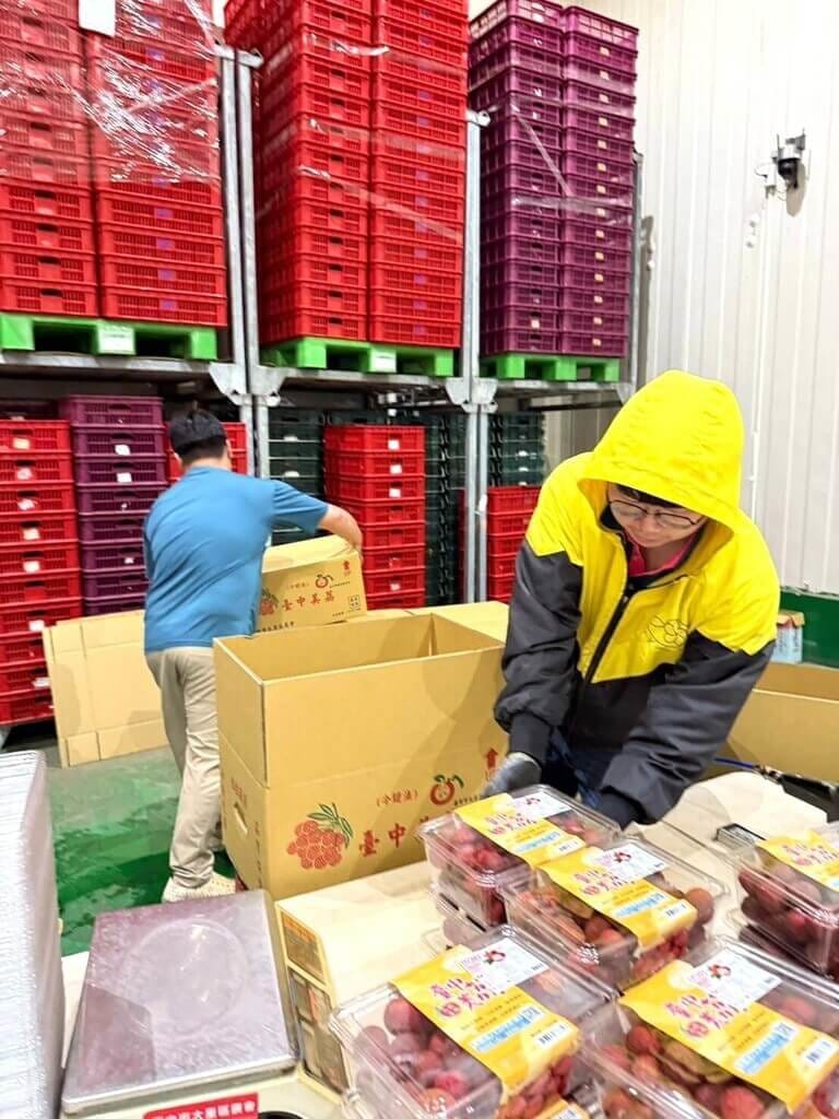 台中在地農會荔枝品牌「臺中美荔」進軍英國，採用冷鏈加工保鮮技術，以延長保鮮期，同時減少水分流失。 圖：Cherrain Global提供