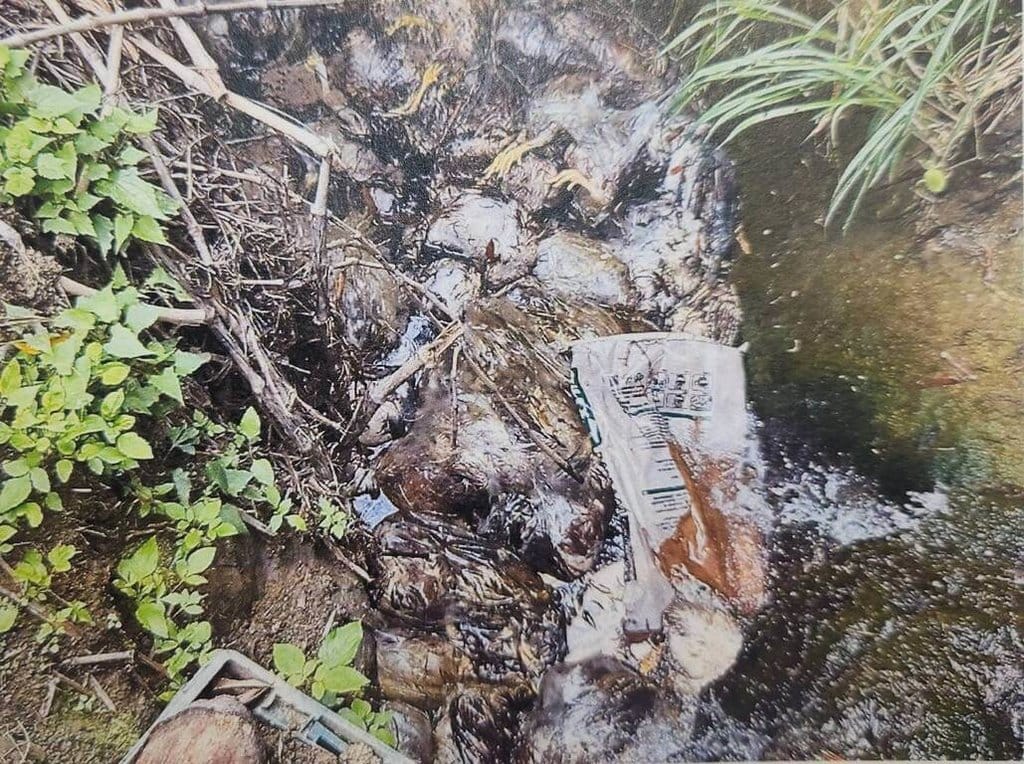 苗栗縣通霄鎮烏眉里山區溪中4月發現大量雞屍，經查為西湖鄉某牧場古姓業者將死亡雞隻打包後，交由另名古姓男子載運丟棄。案經檢方偵查終結，依違反廢清法將2人提起公訴。（苗栗地檢署提供）中央社記者管瑞平傳真　115年7月3日