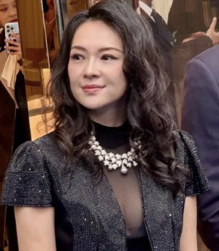 中國前中共中央對外聯絡部（中聯部）部長劉建超近期再度成為社群平台討論焦點，多個 X 帳號接連發布貼文，除重提其過去與中國前外交部長秦剛事件的關聯外，更出現涉及中國女星章子怡的傳聞，引發社群熱議。 圖:翻攝自X帳號@xzzzjpl