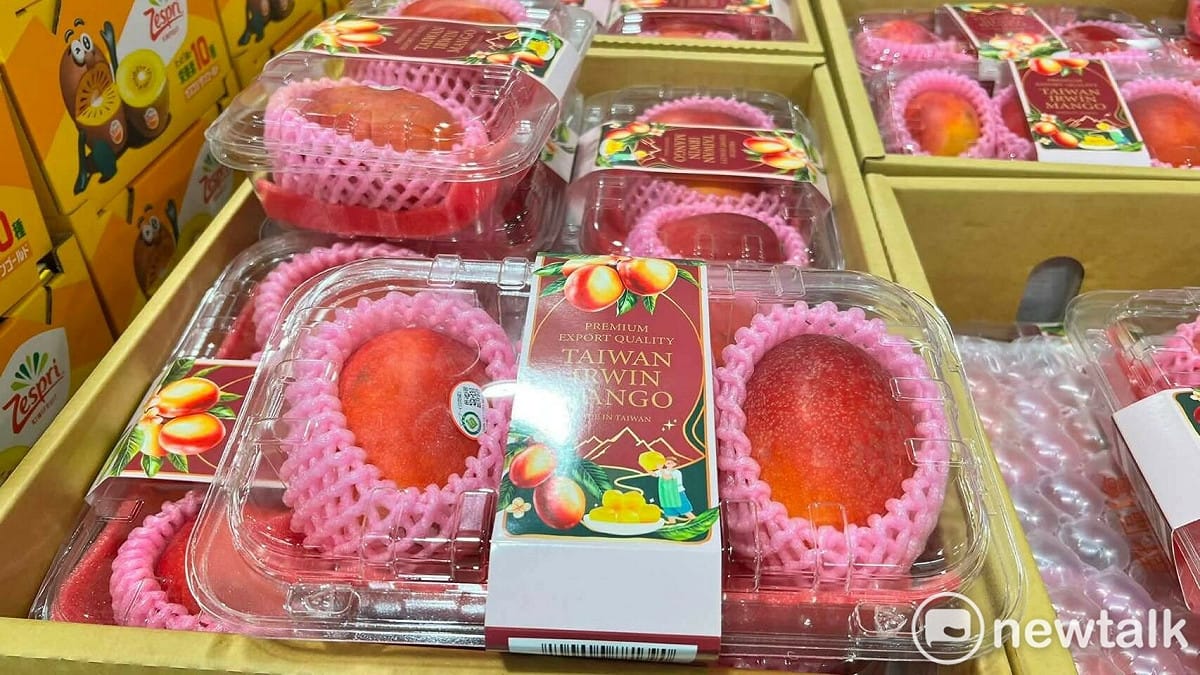 今年台南愛文芒果成功上架日本好市多（Costco），並進入英國北部中華行、恆運行等華人通路及 TAZAKI 日本超市販售，讓日本及英國消費者都能品嚐來自台南的新鮮優質芒果，展現台南果品外銷實力與國際市場競爭力。 圖：台南市政府提供