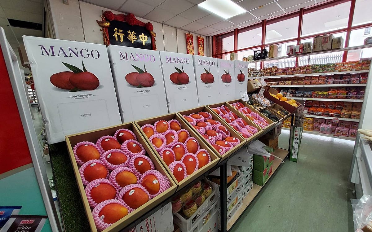 今年台南愛文芒果成功上架日本好市多（Costco），並進入英國北部中華行、恆運行等華人通路及 TAZAKI 日本超市販售，讓日本及英國消費者都能品嚐來自台南的新鮮優質芒果，展現台南果品外銷實力與國際市場競爭力。 圖：台南市政府提供