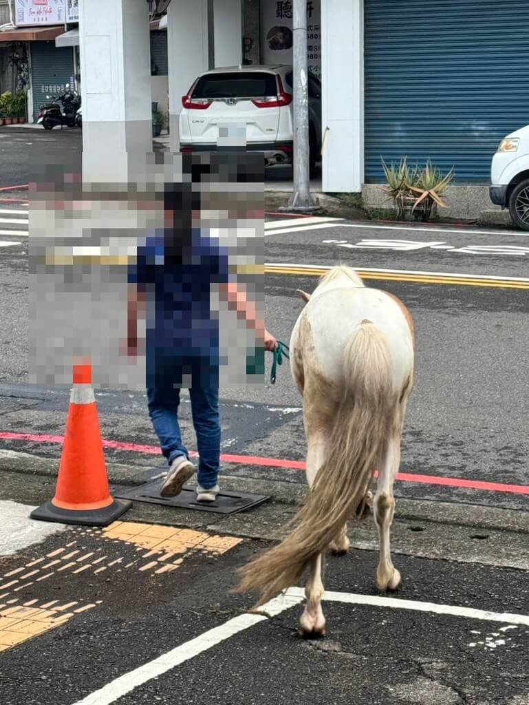 颱風巴威侵襲，高雄11日凌晨起風雨漸增，但岡山區街頭上午卻出現一匹馬在街上獨自漫步。幸熱心民眾將馬匹牽到警局，由警方通知飼主杜姓女子領回。（高雄岡山警分局提供）中央社記者洪學廣傳真　115年7月11日