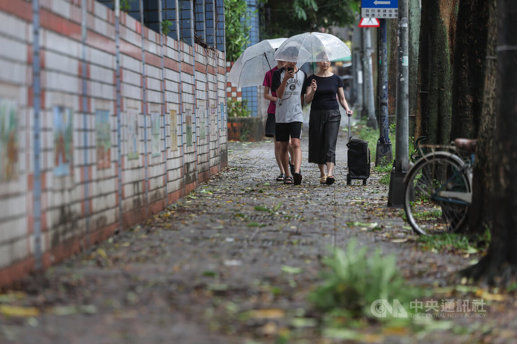 受颱風巴威及其外圍環流影響，台北市內湖區街道也因風雨布滿凌亂樹枝、樹葉。中央社記者翁睿坤攝 115年7月11日