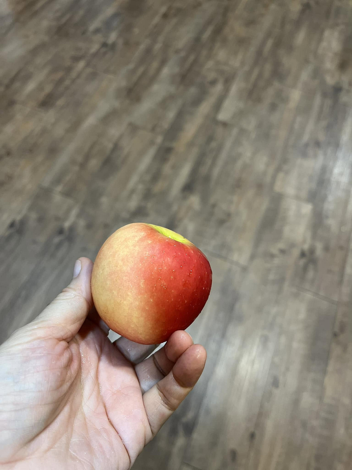 網傳蘋果芬普尼標準放寬6倍，食藥署澄清修正的是芬普寧，已要求Meta下架並函請地方查處。 圖：民眾提供