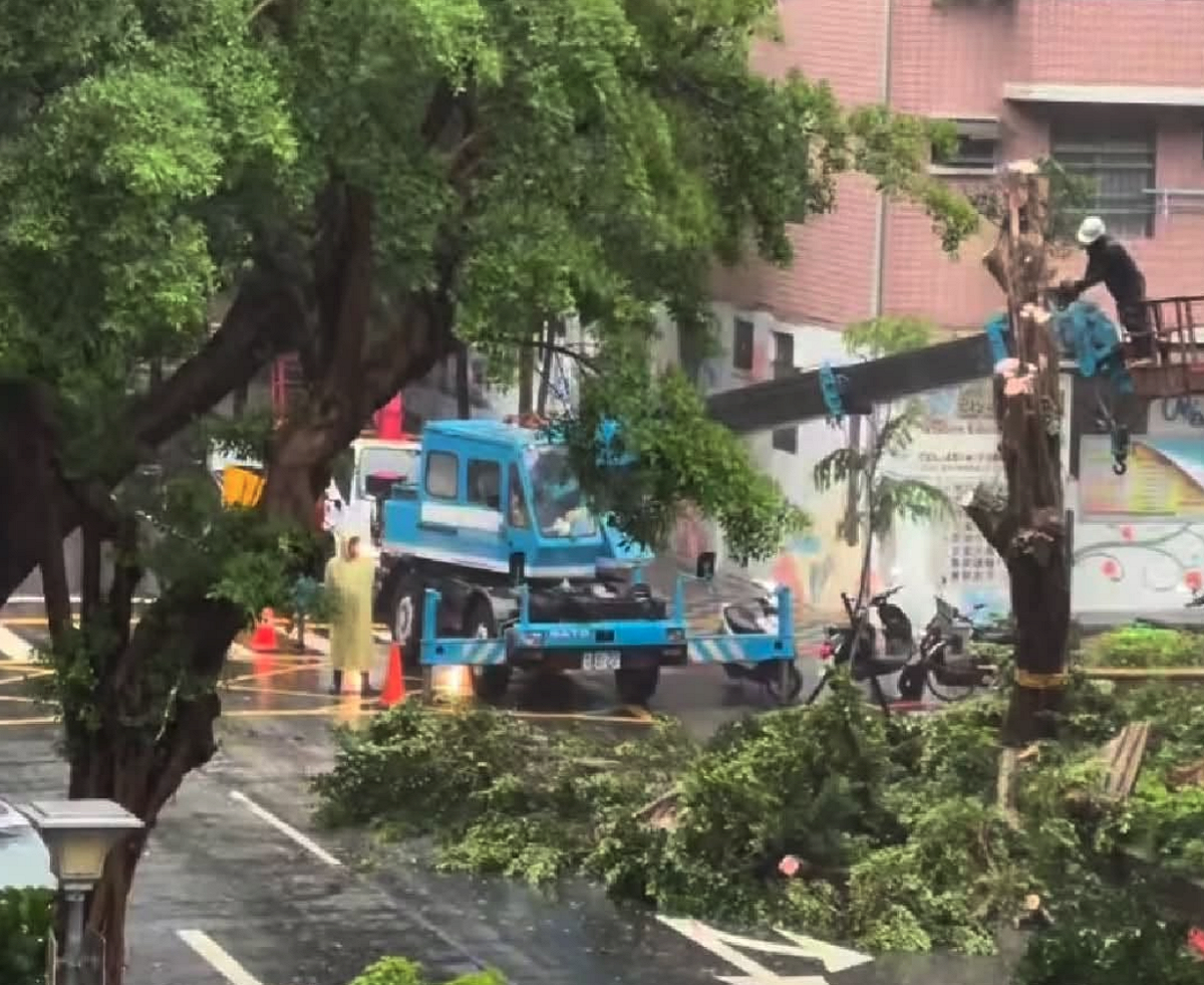 台北市先前受巴威（BAVI）颱風影響，轄區內出現大量降雨及強風。不過，北市府決定放颱風假以及轄區內出現多顆樹木遭砍等爭議 圖：翻攝畫面