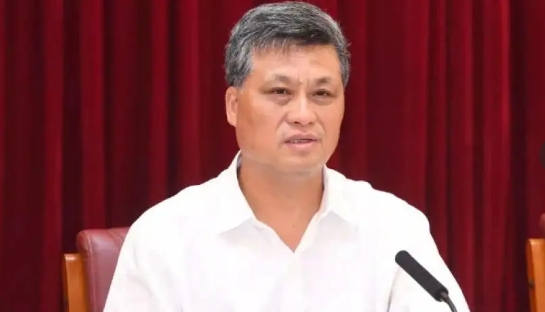 馬興瑞自從被調離新疆自治區黨委書記職位之後，已經失蹤了 7 個月。 圖 : 翻攝自新華網