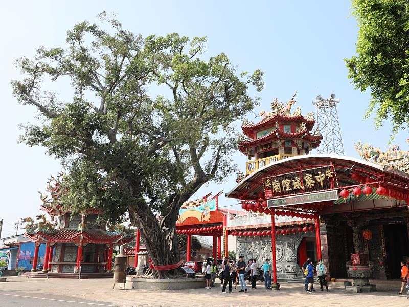 城隍爺廟前的老榕樹推估樹齡近兩百年。 圖嘉義縣府提供