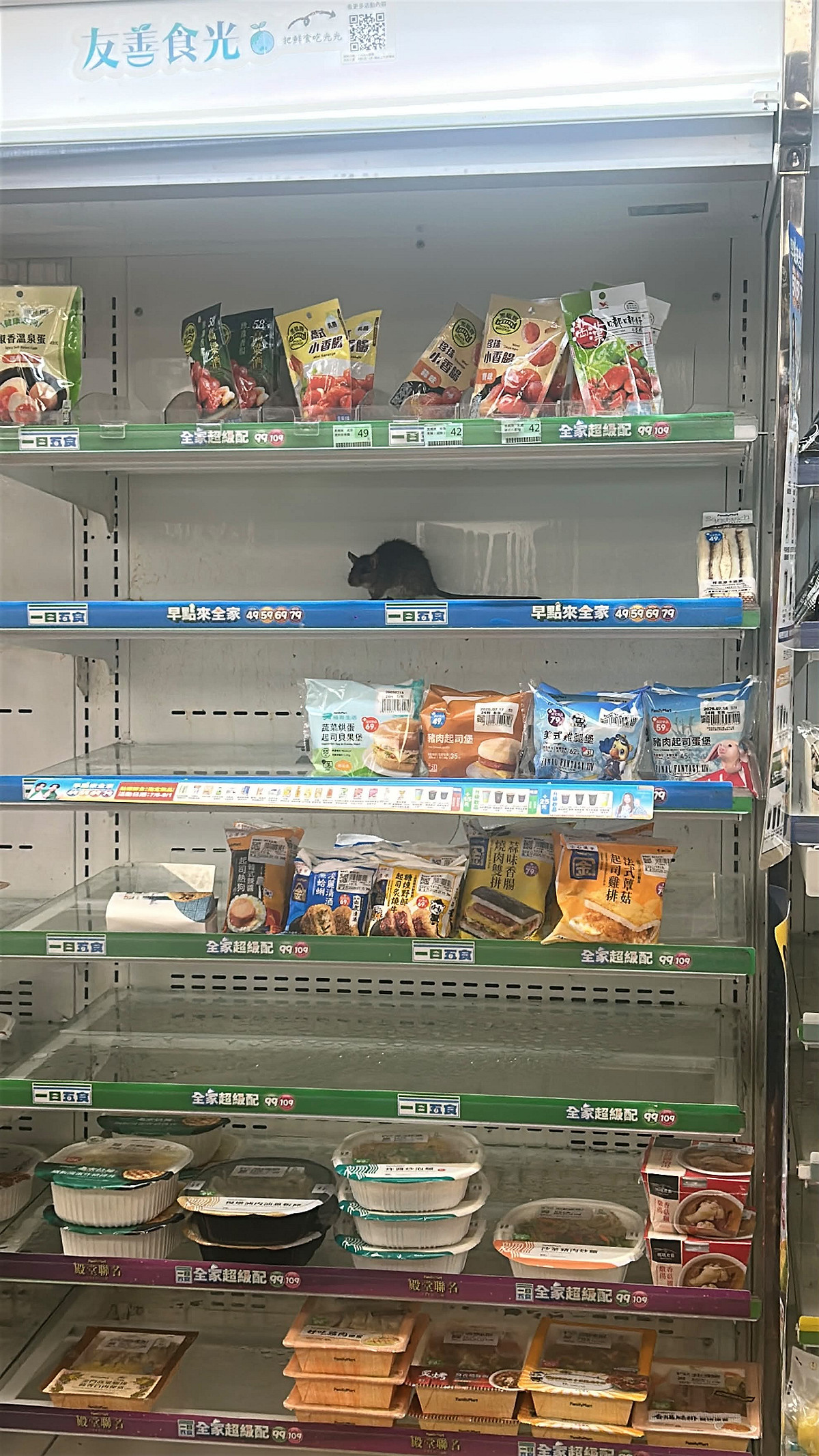 有網友在台北機捷的一間超商，看到巨大老鼠於貨架上悠哉閒逛。 圖：翻攝自isaac0524 Threads