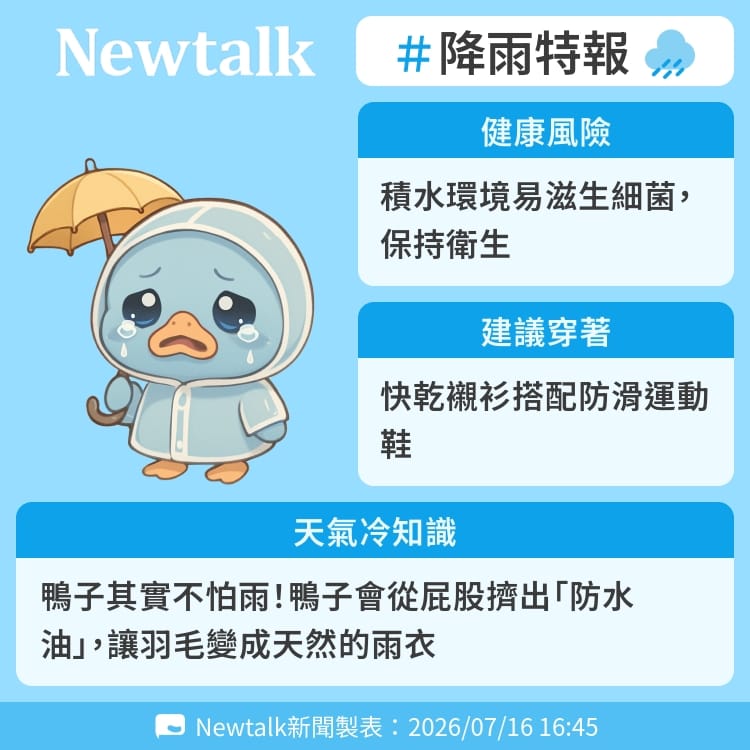 鴨子其實不怕雨！鴨子會從屁股擠出「防水油」，讓羽毛變成天然的雨衣 圖：Newtalk製表
