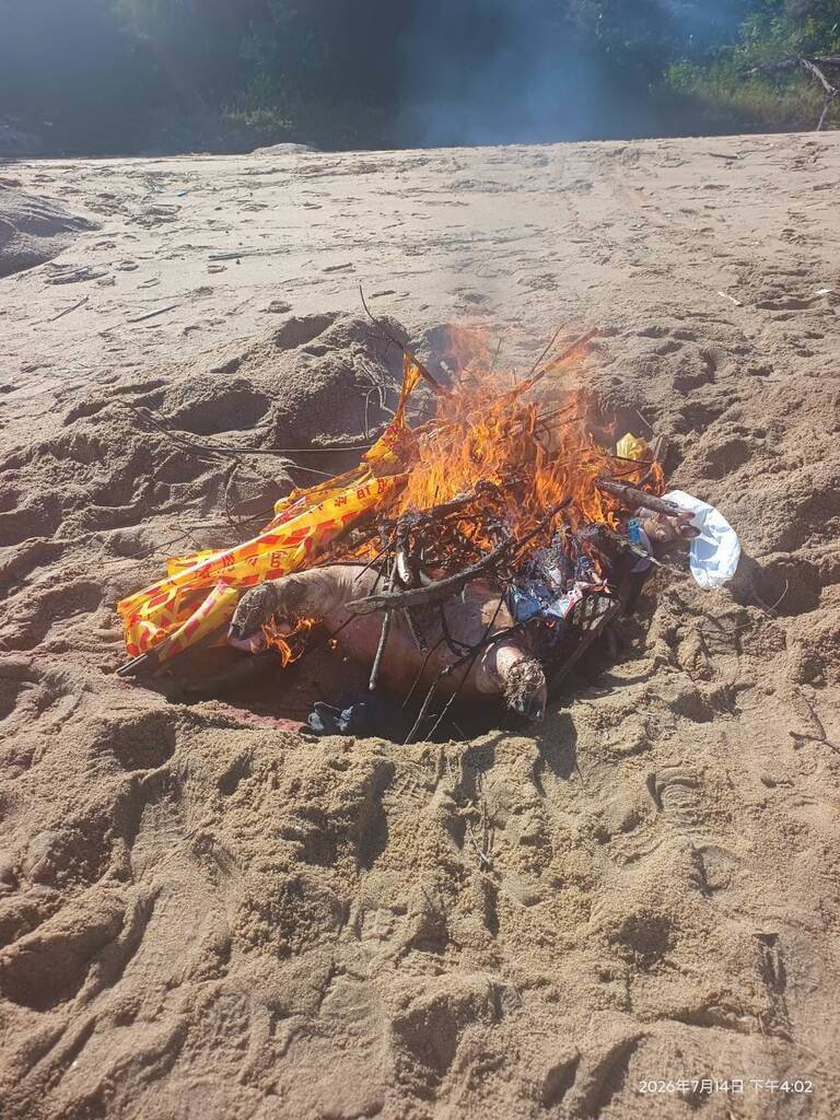 金門縣金湖鎮新頭岸際日前發現1隻海漂死亡豬屍，檢出非洲豬瘟病毒核酸陽性。圖為金門縣動植物防疫所人員赴現場執行檢體採樣及消毒作業後，就地焚化掩埋豬屍。 圖：金門縣政府提供