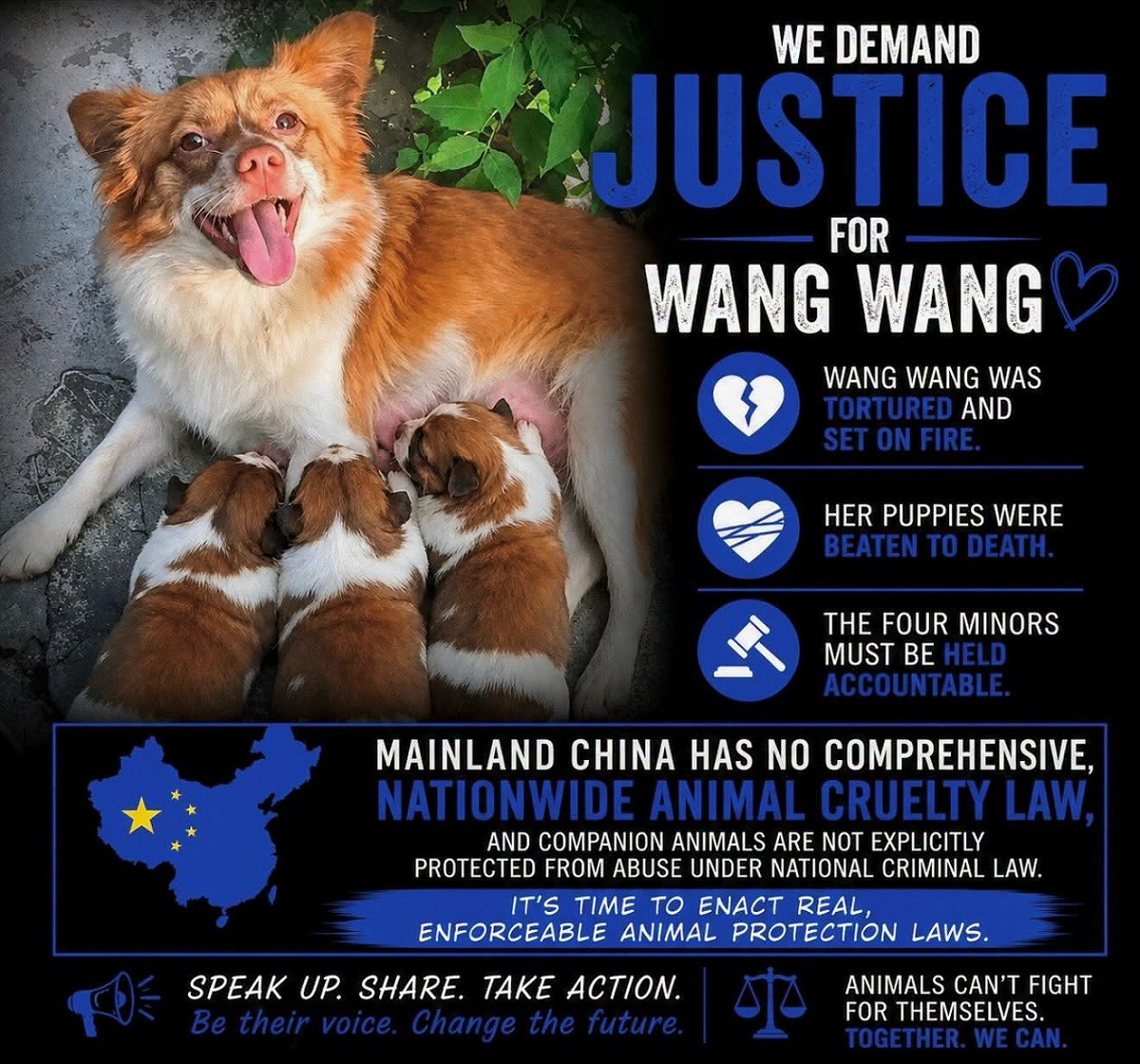 中國流浪狗「旺旺」和幼犬被虐殺，社群媒體湧現貼文轉發消息，還有人自製網站、投放廣告及發起請願連署。 圖：翻攝臉書
