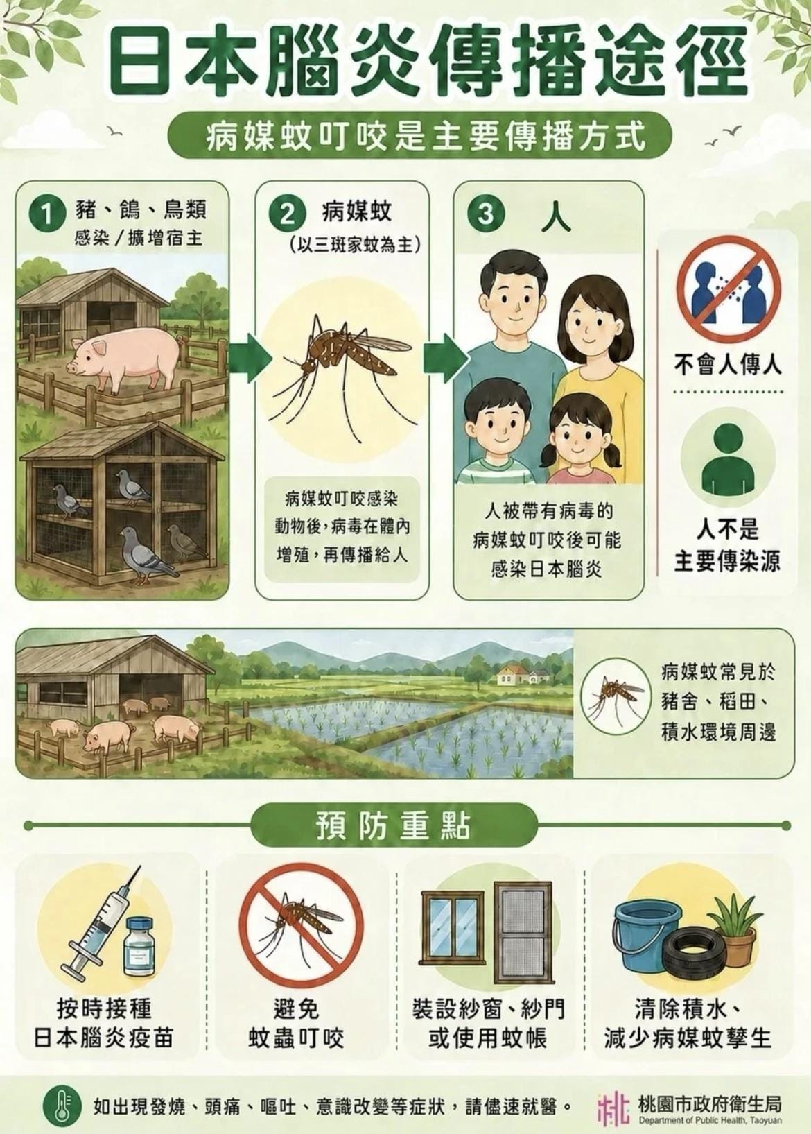 桃園市上周新增2例日本腦炎病例，因為本身有慢性病史，且意識至今仍未完全恢復，目前仍在加護病房持續插管救治中。 圖：桃園市衛生局／提供