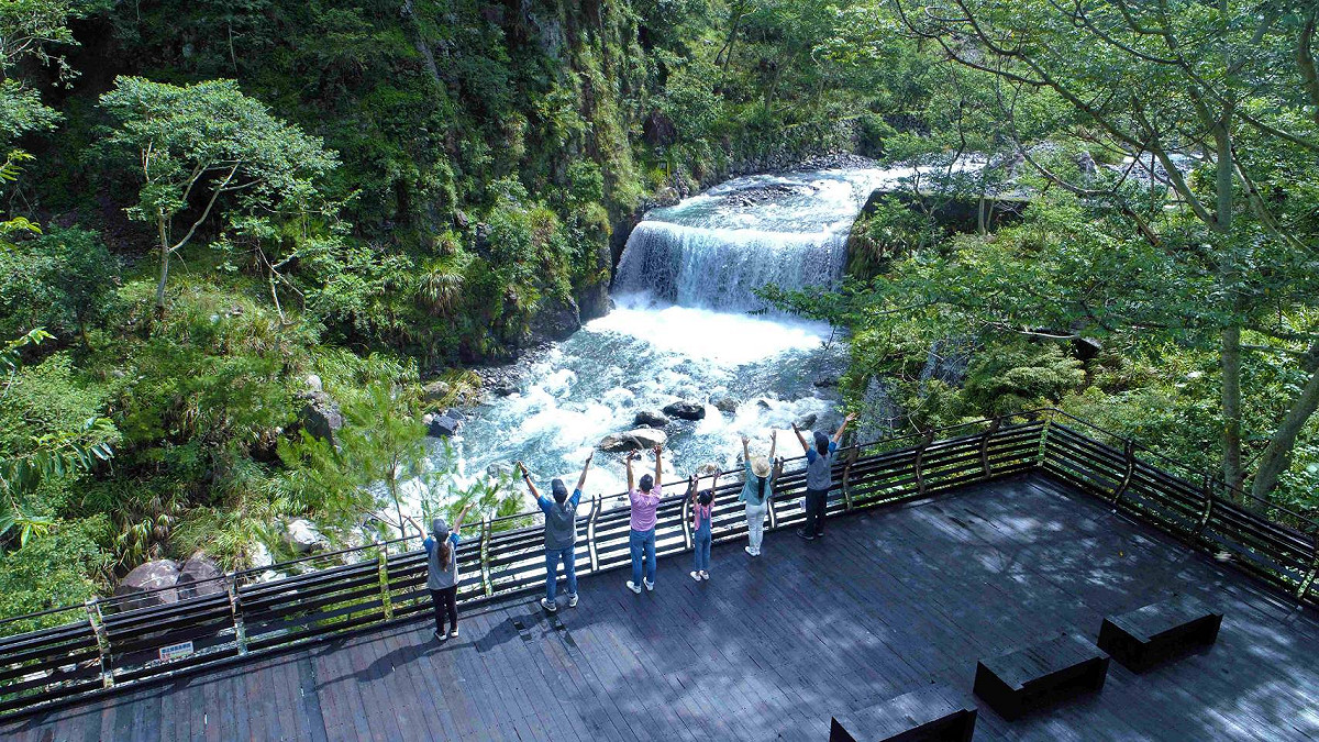 八仙山國家森林遊樂區，森林療癒體驗。 圖：台中分署／提供