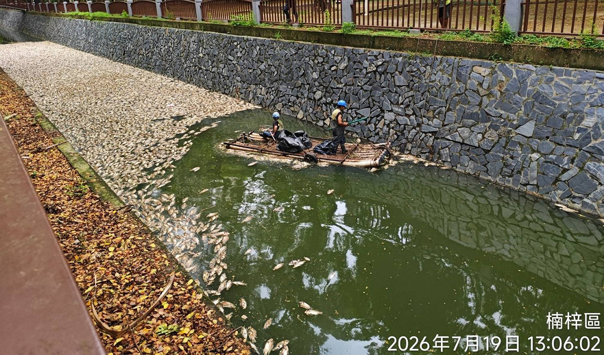 高雄後勁溪近日再度發生大批死魚事件，河面漂滿魚屍，薛兆基認為智慧城市不只是口號，而是能夠保護環境、守護生活的治理能力。 圖：高雄市環保局/提供