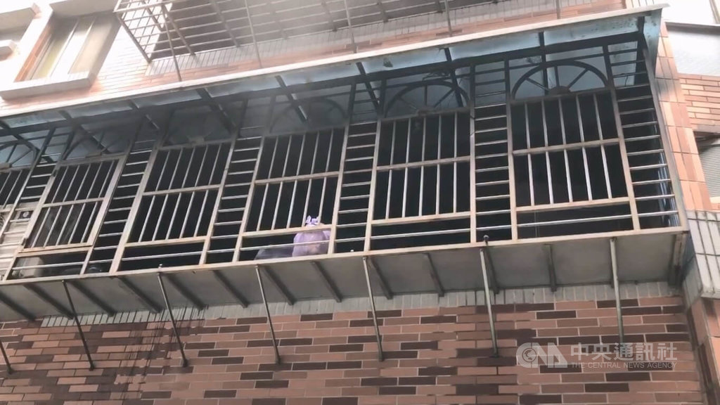 基隆市中和路一處民宅2樓21日下午發生火警，起因疑為行動電源起火燃燒。消防人員獲報到場，在後陽台救出一對受困夫妻，幸僅輕微嗆傷，已預防性送醫。中央社記者王朝鈺攝　115年7月21日