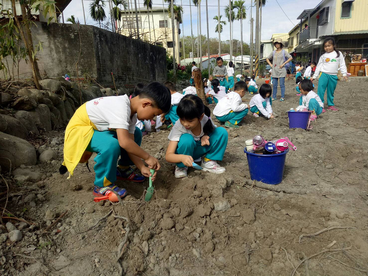 台中市農會利用一處荒棄梅子園，在當地里長協助下，由東新國小師生體驗種咖啡豆與蘿蔔。 圖:台中市農業局／提供
