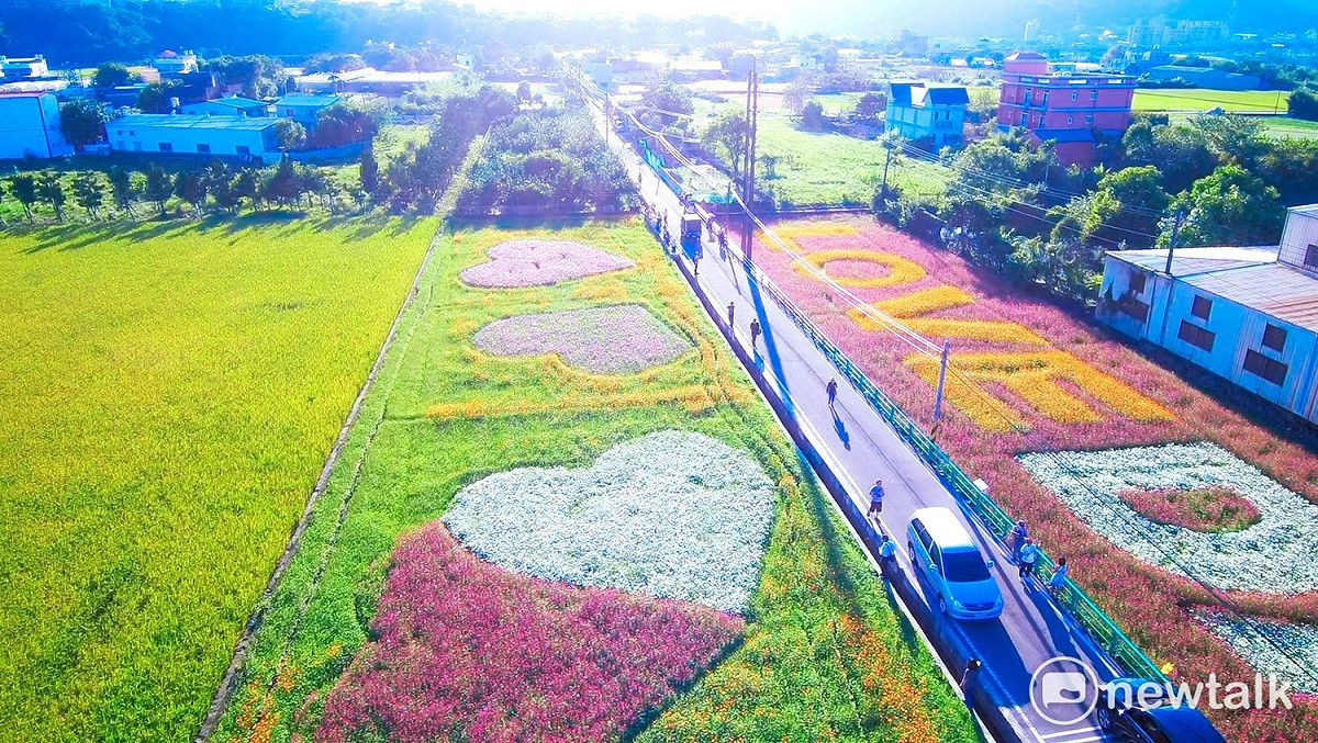 2017桃園花彩節的大溪花區盛開到這個周(26)日。位於大溪月眉里的花田，百日草、黃波斯菊、大波斯菊、向日葵正在冬日下搖曳。 圖:桃園市農業局提供