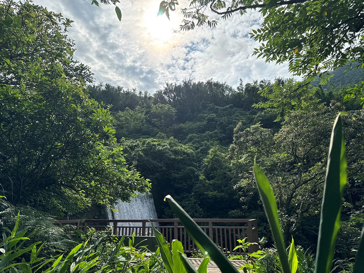 園內瀑布水勢磅礡，搭配巨石、蕨類與雲霧，是金瓜石獨特的山林療癒景觀。 圖：新北市農業局／提供