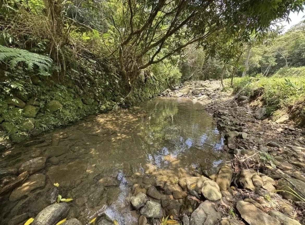 北勢溪上游段的溶氧量高，生化需氧量與氨氮濃度低，水質清澈。 圖：新北市農業局／提供