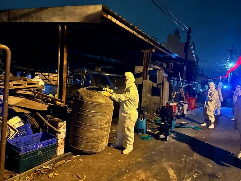 台中市梧棲養豬場爆發非洲豬瘟，釀全國豬隻禁運禁宰損失21億元。 圖：台中市政府提供