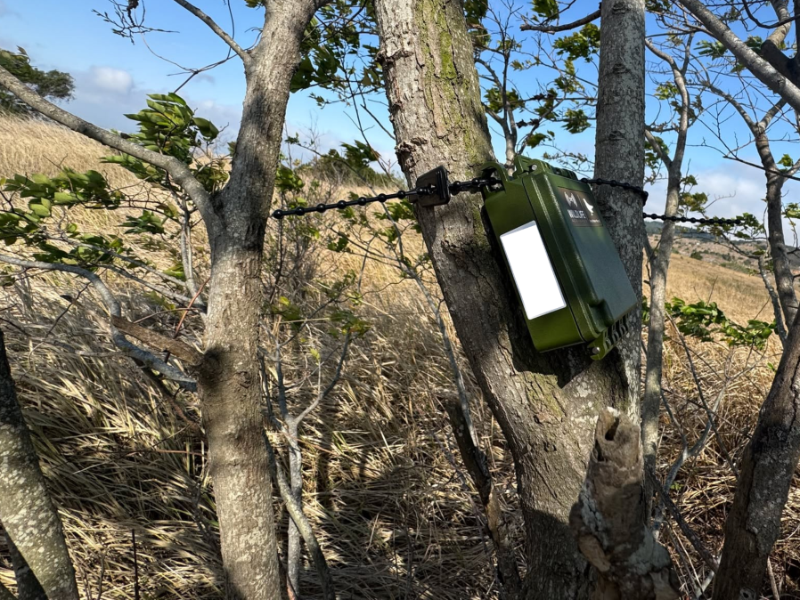 研究團隊透過於大肚山地區架設自動錄音機調查草鴞可能的活動區域。 圖：林業及自然保育署台中分署／提供