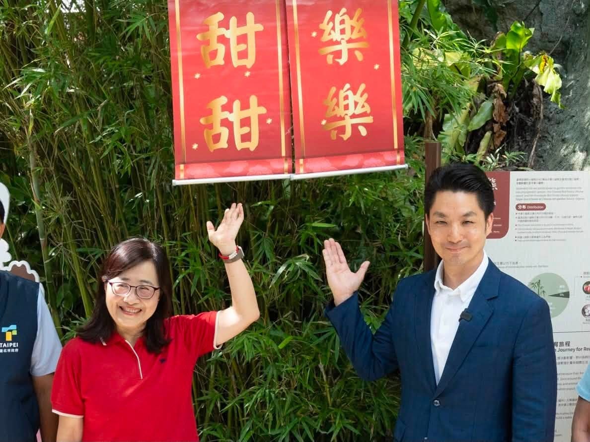 上海小貓熊 樂樂 和甜甜 昨正式亮相！ 圖：蔣萬安臉書