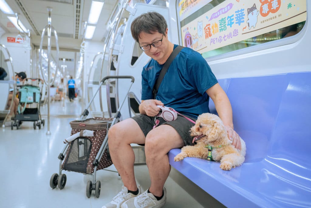 桃園大眾捷運公司8月2日將推出一日限定「寵物友善列車」，加開4班次往返A22老街溪站與A15大園站，中、小型犬可配戴胸背帶及牽引繩落地乘車。（桃園大眾捷運公司提供）中央社記者吳睿騏桃園傳真　115年7月30日