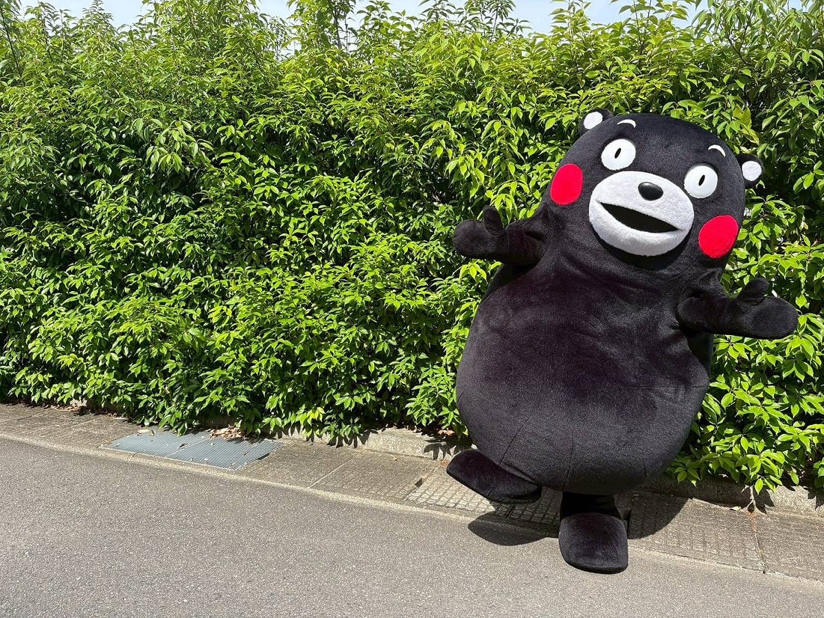 日本九州熊本縣於台北時間上月28日發生規模7.1強震，造成縣內多地傳出災情。而被視為熊本縣官方代言IP且在國外享有名氣之熊本熊也於地震當日起暫停相關公開活動。 圖：翻攝自@55_kumamon X （資料照）
