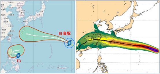 左圖：最新(2日2時)氣象署「路徑潛勢預測圖」顯示，第13號強颱「白海豚」未來5天行徑向西北西略轉偏西進行，朝琉球附近逼近。另一呂宋島東方的熱帶低壓，將會向東北東迴轉。右圖：最新(1日20時)歐洲(ECMWF )模式系集模擬顯示，未來10天的「暴風範圍侵襲機率圖」顯示，系集平均路徑經日本琉球附近、東海南部、再登陸浙江、福建交界(黑線)，暴風範圍侵襲機率琉球一帶為70%，台灣北部海面的機率約在50%，陸地的機率亦達20%左右。 圖/洩天機教室