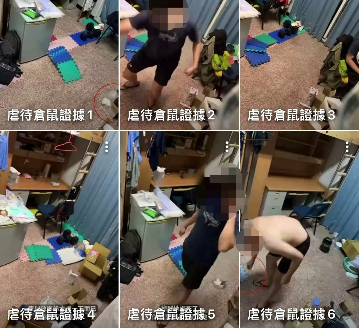 陳姓男大生在寢室長期虐殺倉鼠，室友蒐證爆料引起社會關注。 圖：翻攝自YT@abc321