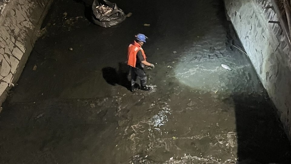 高市水利局漏夜緊急打撈後勁溪、右昌排水死魚。 圖：高雄市水利局／提供