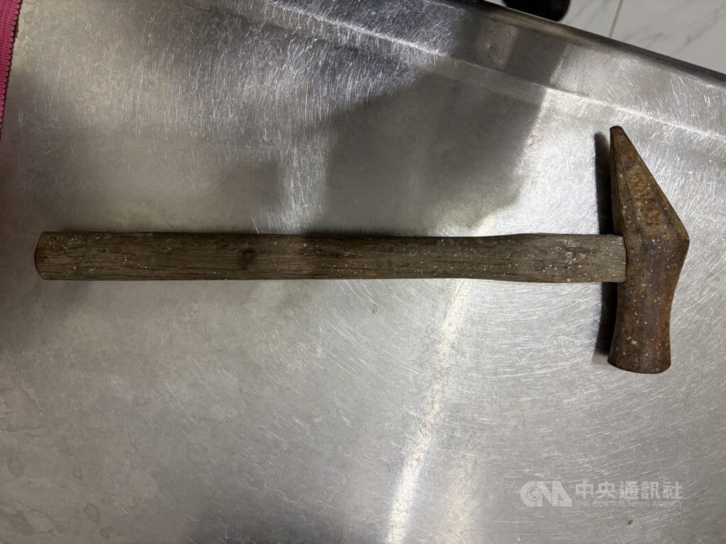 新北三重男鐵鎚猛擊流浪貓遭逮 最重恐面臨2年徒刑