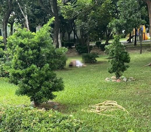 台中太平街頭驚見裸女出沒。 圖：台中市議員江和樹服務處