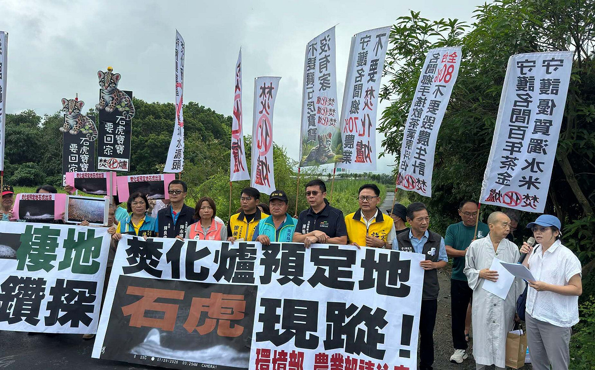 (影)名間焚化爐預定地拍到石虎！自救會提3大訴求喊撤案 南投縣府：無法確認資訊正確性