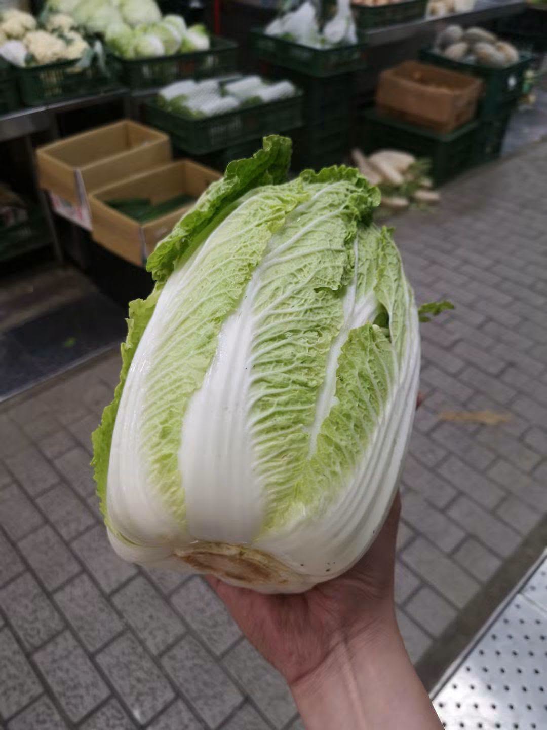 中國甲醛蔬菜引發產地疑慮，菜販廖炯程揭夏季市場進貨現況，強調包心白菜、高山高麗菜仍有台灣貨。 圖：翻攝自廖炯程臉書專頁