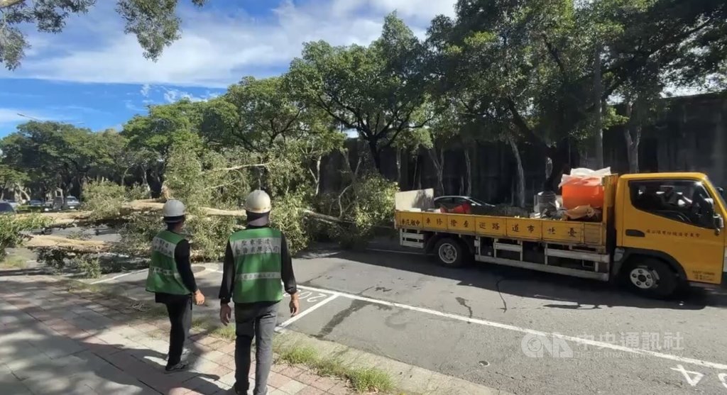 台北市中山區明水路31日發生路樹傾倒影響車輛通行事件，幸無人傷亡，警方已通報公燈處到場協助處理。（翻攝照片）中央社記者黃麗芸傳真　115年8月31日