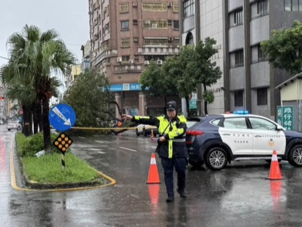 高雄市連日降雨，前鎮區保泰路與公正路口1日有路樹倒塌，壓到2部車輛，沒有造成人員傷亡，警方已通報相關單位派員到場排除路樹。（高雄市政府警察局前鎮分局提供）中央社記者張已亷傳真　115年9月1日