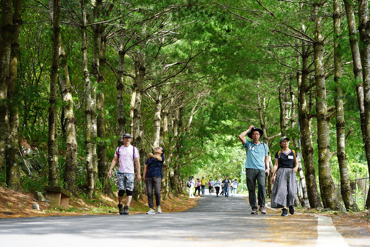 松鶴部落健行，吸引了600位民眾熱情參與。 圖：參山處/提供