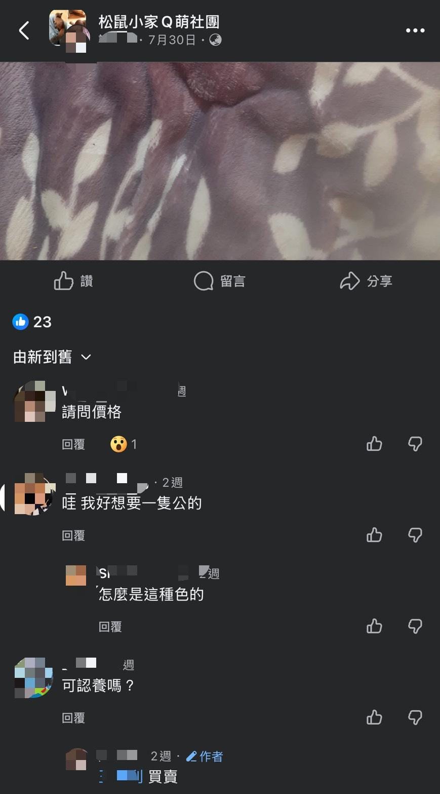 社團內松鼠買賣留言。 圖：新北市政府動物保護防疫處／提供