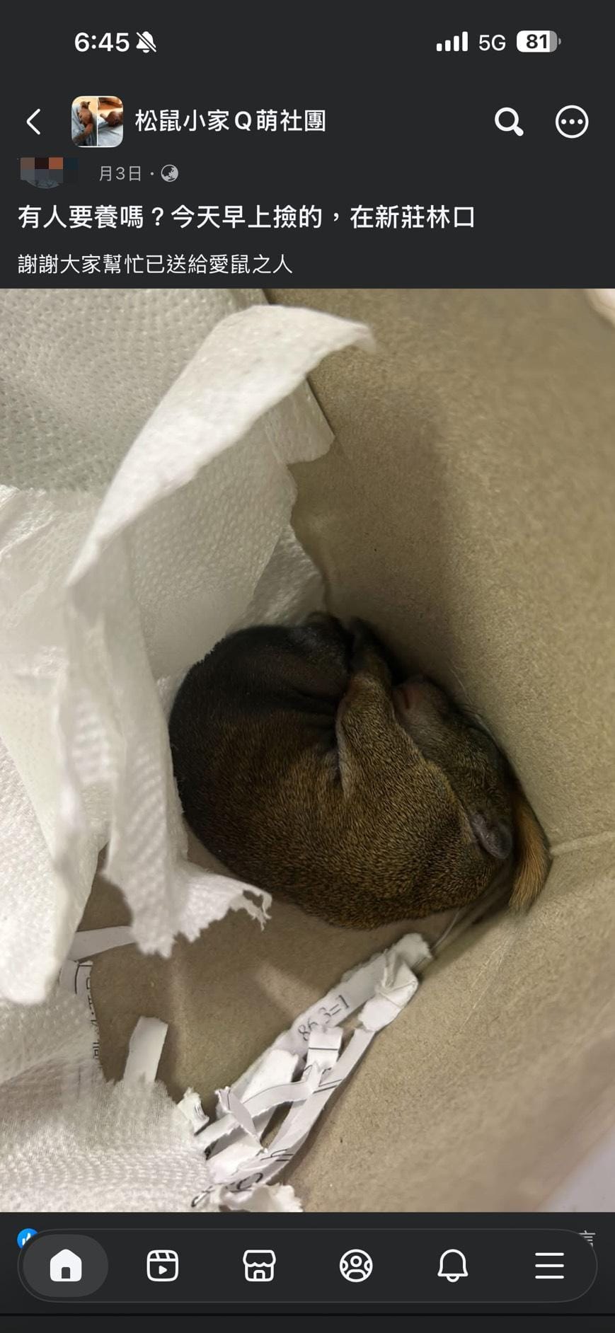 社團內送養相關貼文。 圖：新北市政府動物保護防疫處／提供