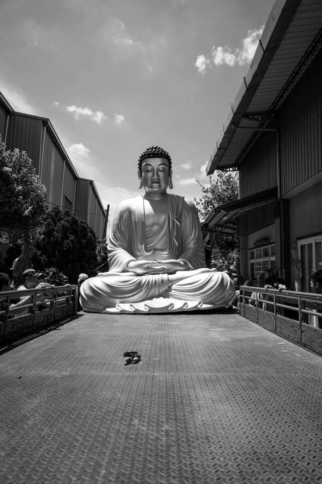 《大佛普拉斯》巧妙地結合「白爛白目」與「黑色喜劇」。大多在中、南台灣取景拍攝。 圖：甲上娛樂提供