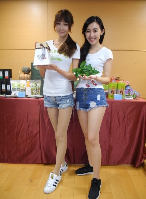 新北市農業局將舉辦冬茶上市展售會，可品茗、參加遊戲，還可茶鄉健行。 圖：王峻昌/攝