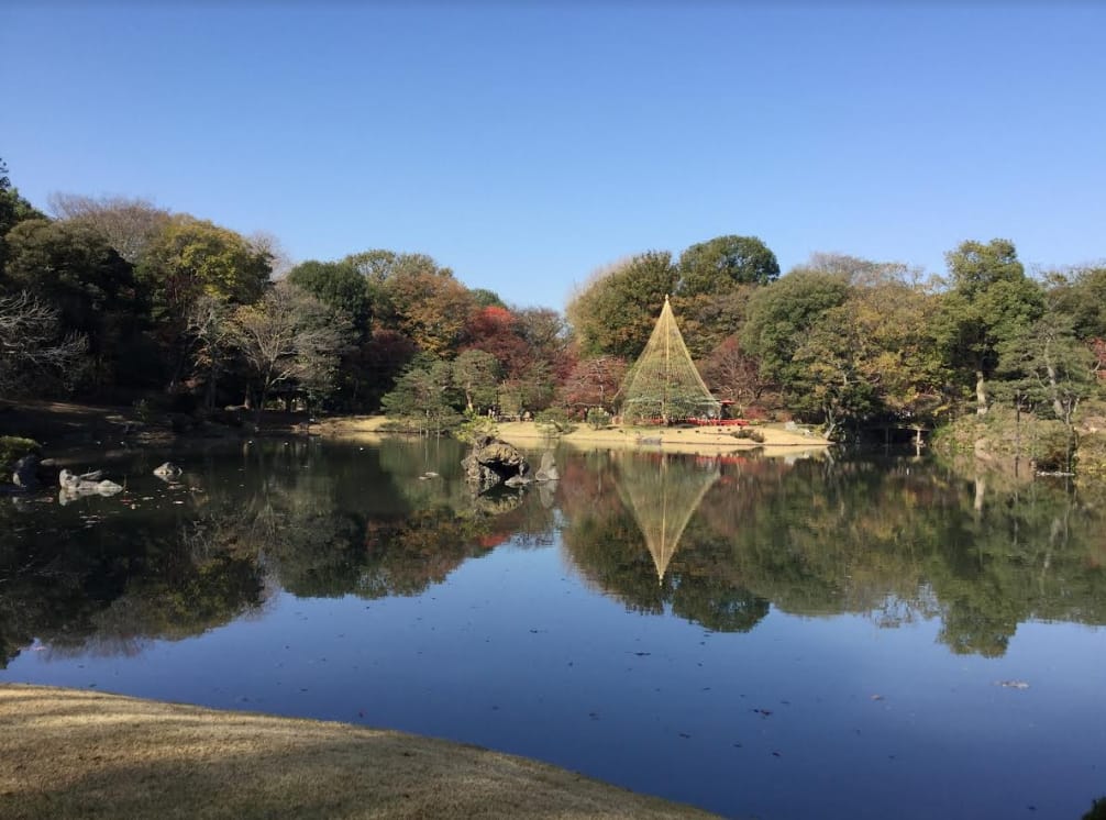 六義園有許多常綠樹，不會一口氣全面染紅 圖：劉黎兒/攝