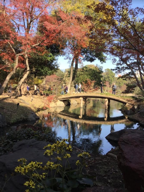 六義園的小橋流水與紅葉。 圖：劉黎兒/攝