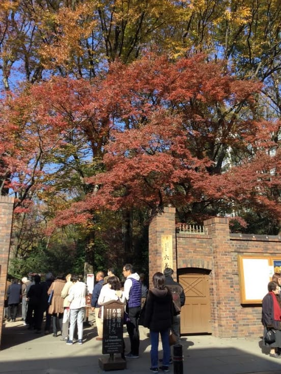 六義園的紅葉季節，人潮湧到。 圖：劉黎兒/攝