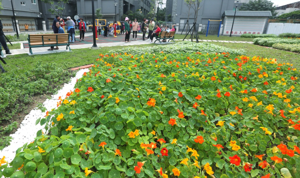 新北市鶯歌鳳翔里公園。鳳祥公園部分土地原是農田水利會用地，有少數民眾將此地私自做為菜圃使用，新北市工務局將該地規劃為綠帶兼香草花園區。 圖：新北市府提供