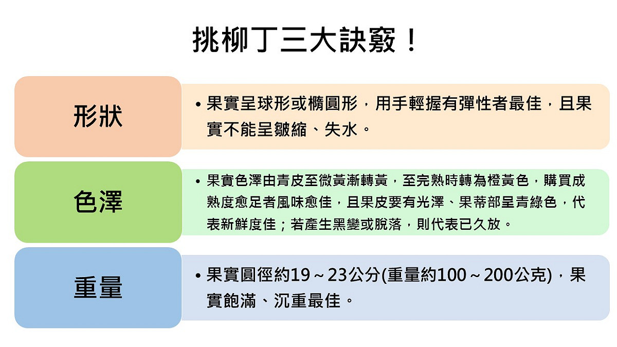 要挑選好吃的柳橙有三大訣竅。 圖：新頭殼製圖