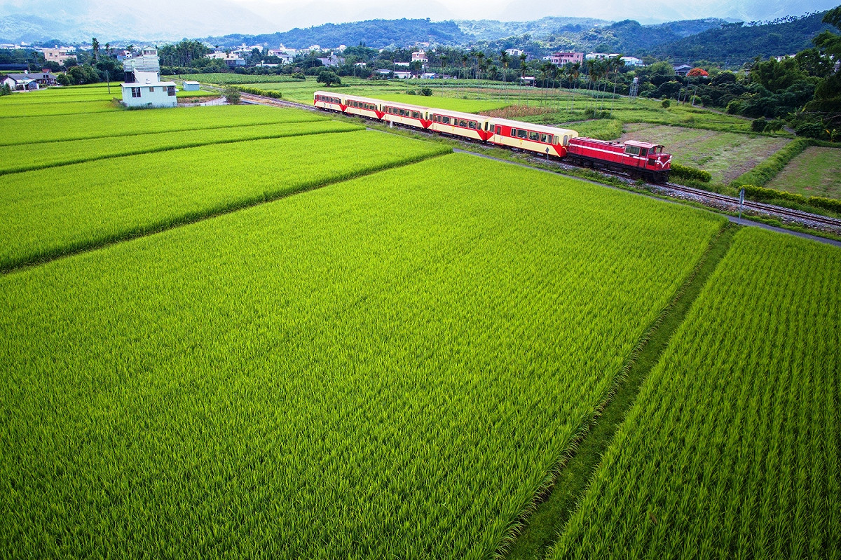 與阿里山森林鐵路一起穿越田野，前進山林。 圖：台鐵/提供